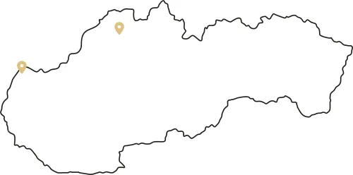 Estetická chirurgie nohy v SK